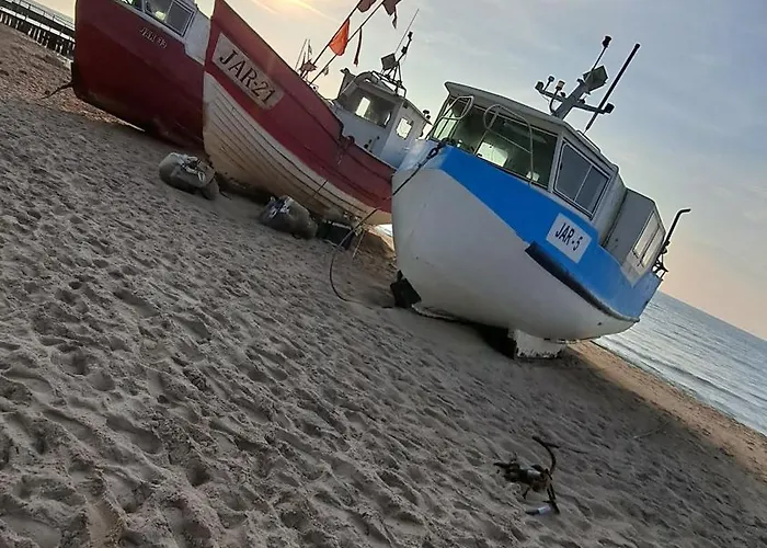 Tyfami - Dom 2 Jarosławiec